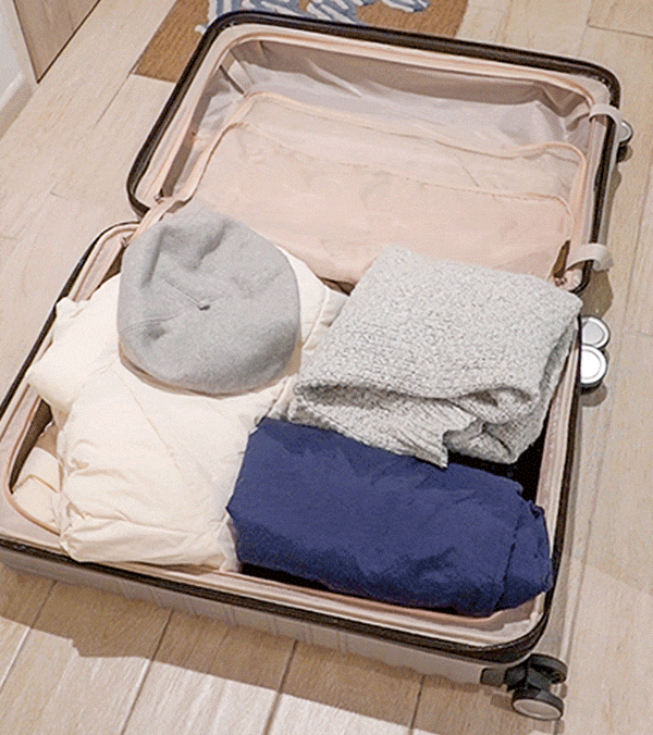 ClearVacuum Storage Bag Travel Vacuum Bag Style Degree